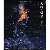 【中古】 負けてたまるか！ 愛だよ。心だよ。人生だよ。/文芸社/福島鏡 Amazon.co.jp: カワセミ: ある日、カワセミに出会いました